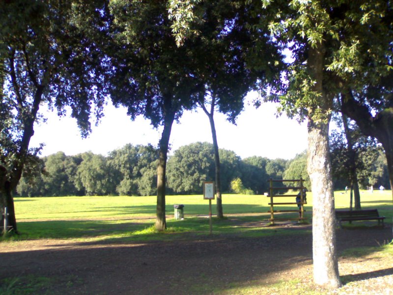 photo5.jpg