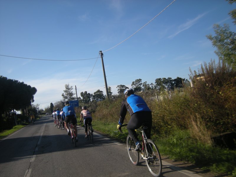 dscn0619.jpg