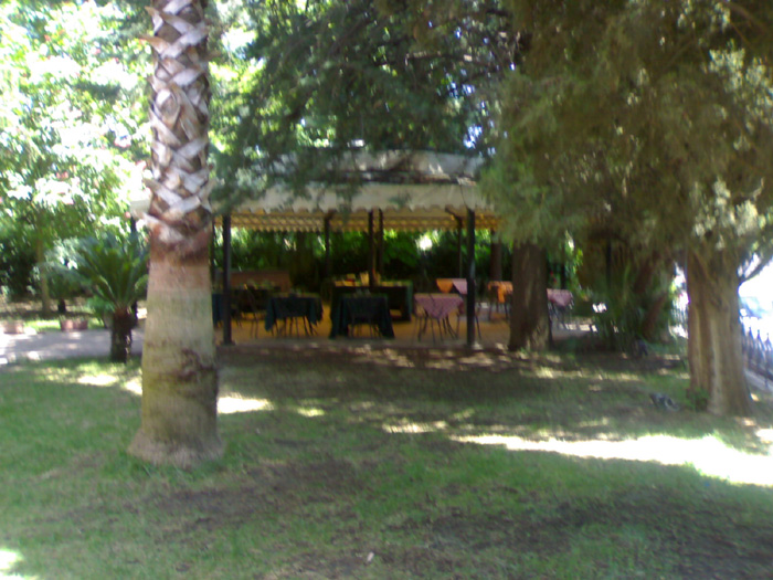 10052008296
